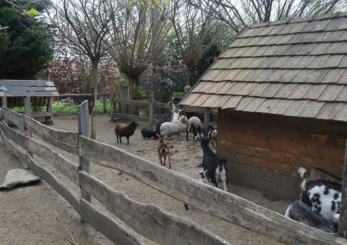 DSC_0890.JPG