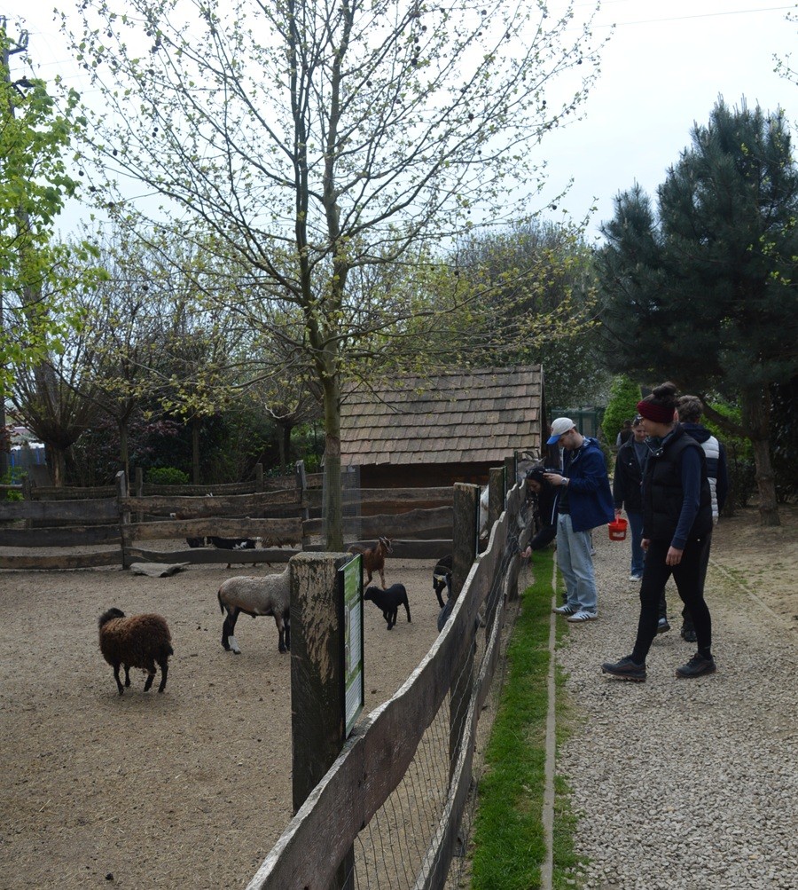 DSC_0893.JPG