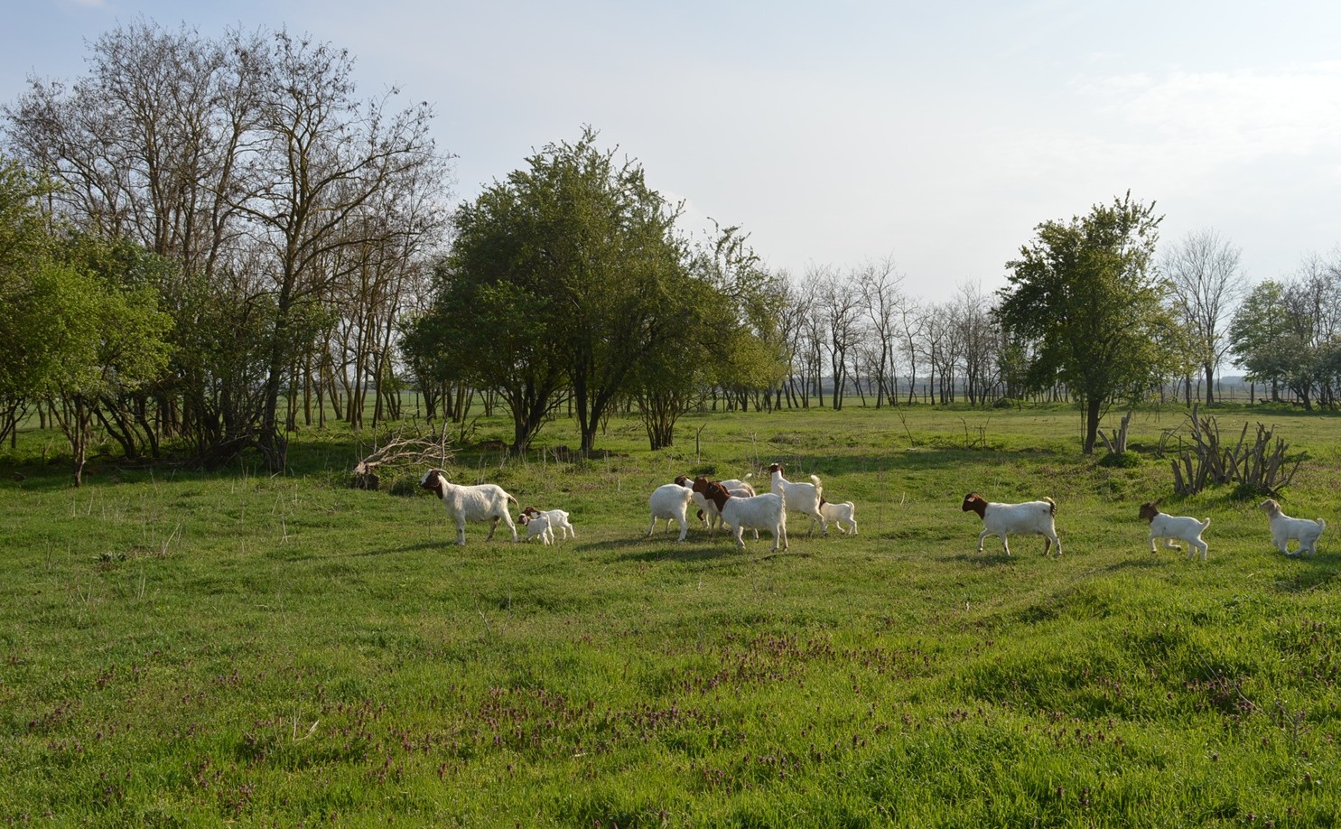 DSC_0975.JPG