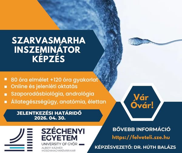 inszem_tanfolyam.jpg